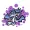 Next image